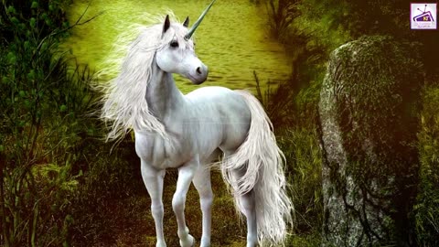 || Unicorn || History of Unicorn Animal || Amazing Biography of Unicorn Urdu Hindi ||