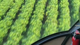 Spraying Cotton in an R44