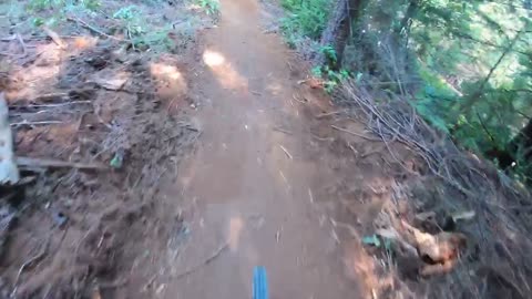 Mountain Biking in humbolt county California