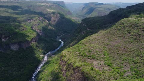 Fly over a huge and rocky canyon covered with trees,Huge trees in a large green forest