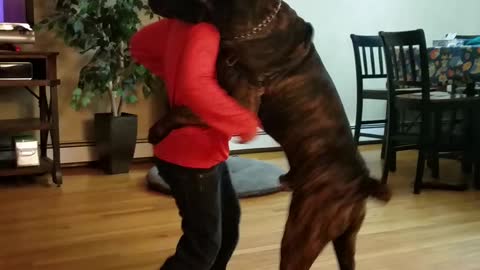 Puppy dance time