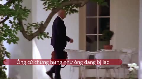 Joe: Bàn tay vấy máu