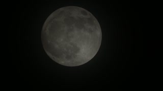 FOOL MOON NOV 29 2020