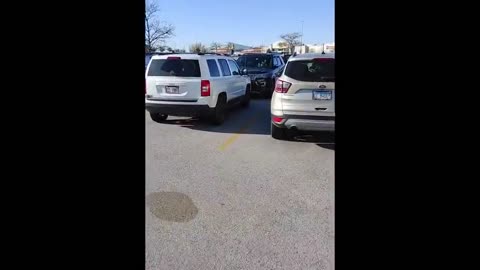 Hilarious scene as impatient dog honks car horn as owner leaves it unattended