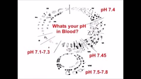 Pleomorphism (and terrain theory, concepts described by Antoine Béchamp)