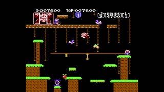 Donkey kong Jr. (NES) Complete no deaths (1080P/60FPS)
