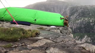 BASE Jumping in a Walrus Onesie