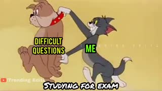 Studying For Exams Be Like Meme