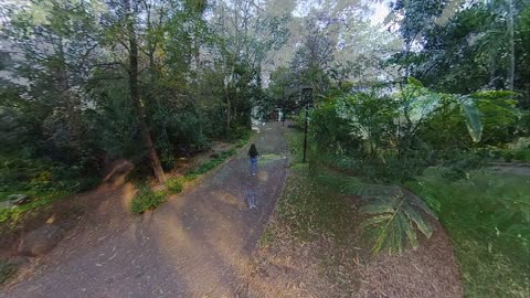 Botanic Gardens Brisbane Queensland Australia