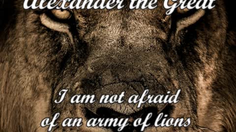 I am not afraid of an army - Alexander the Great Quote