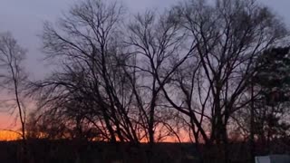 Quick view of the treeline at Sunrise