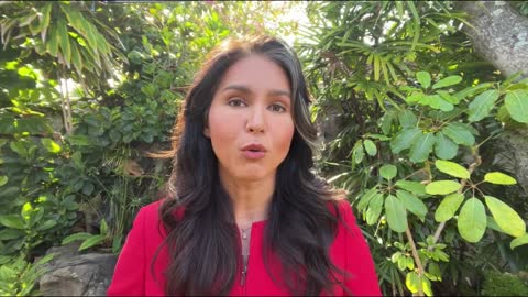Tulsi Gabbard calls out Mitt "Pierre Delecto" Romney, suggests he resign.