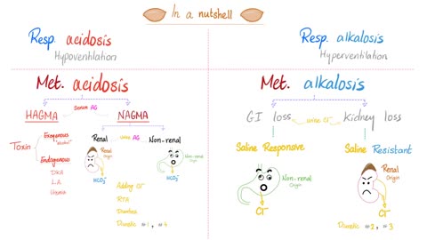 Introduction to Acid-Base Disturbances.