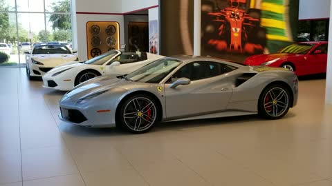Ferrari Dreamin