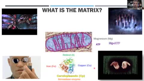 The Matrix - oxidative stress, inflammation, mitochondrial issues, nanotech