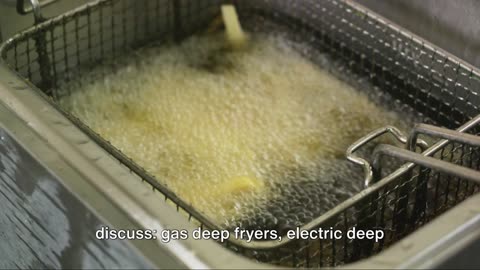 Deep Dive into Restaurant Commercial Deep Fryers