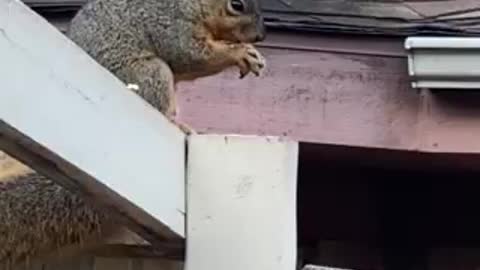 Sharing a morning moment with a friend.