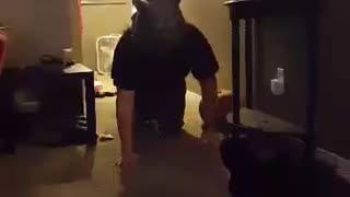 Cat Scared by Werewolf Mask