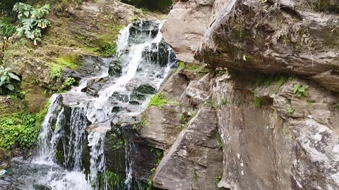 Darjeeling Rock Garden | Cascading Waterfalls of Darjeeling Rock Garden