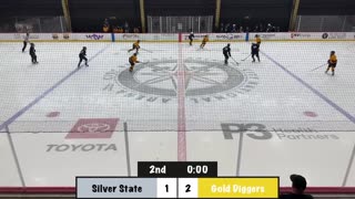 Silver State Select Hockey Club