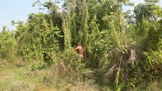 Dig To Build Most Medical Twin Pools & Underground Bamboo House