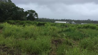 Backyard Motocross track