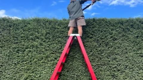 Hedge trimming in Kaleen