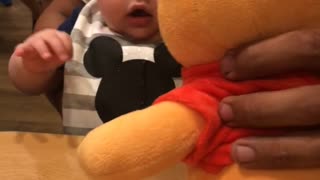 Baby Comes Face to Face with Winnie the Pooh Plushie