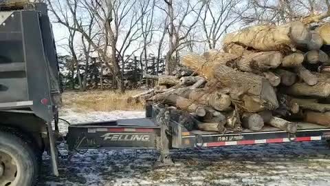 Firewood Haul