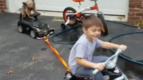 Yorkie gracefully rides toy car while towed by kid on bike. 😱