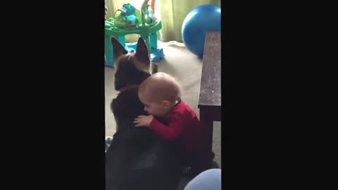 German Shepherd and baby are best friends