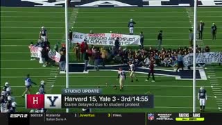 Spoiled Ivy League Students Cause Chaos At Historic Harvard - Yale Football Game