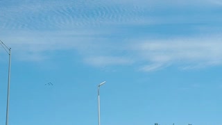 Blue Angels flyover Texas