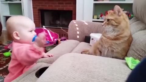 Kids Vs Cat Funny Moment