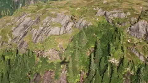 Seaplane flying over Fjords