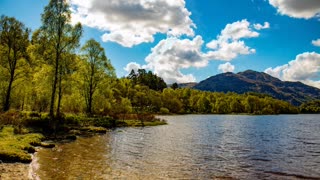 Relax Library Video 56. River sounds in the forest