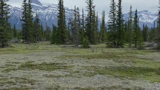 Peaceful Rockies