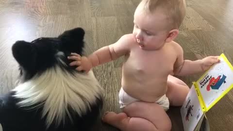 Baby cuddle with his corgi brother