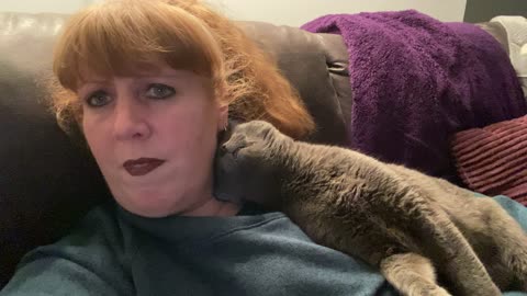 Cuddly Kitty Craves Attention