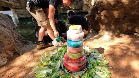 Hungry Hippo Gets Seven-Tier Birthday Cake