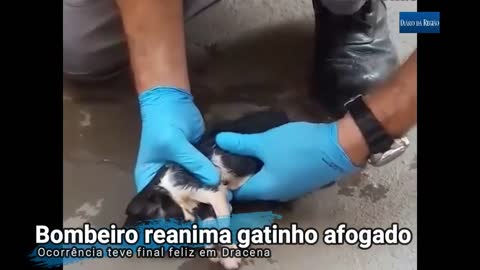 firefighter revives kitten😢