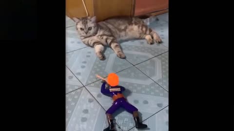 Try not to laugh with these pets Compilation More beautiful lands