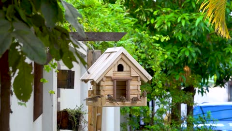 How to make DIY wooden cabin log bird feeder
