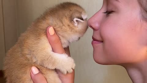 A small kid kissing a Cute Cat