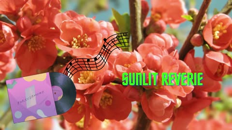 [2] Spring Serenity: Embrace the Blossoming Season with Refreshing Lo-Fi Melodies - Sunlit Reverie