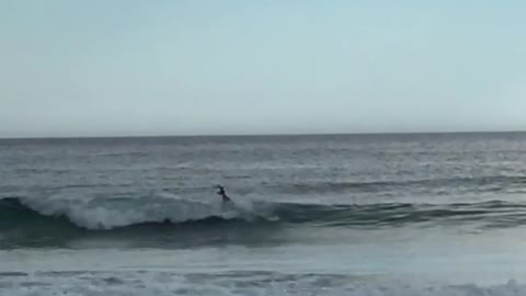 Guy on surfboard at beach falls down in wave