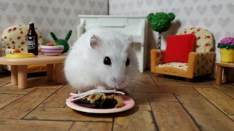 Adorable little hamster enjoys tasty salad