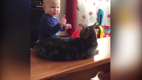 Cats Vs Baby , The Eternal Fight