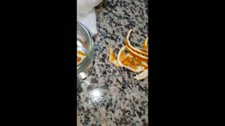 Dehydrated Oranges