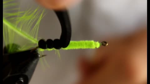 Fly Tying the Foam Caterpillar and Fly Fishing the Banana River Lagoon